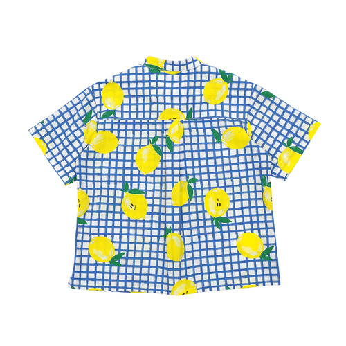 [바로배송] Citron checked shirt